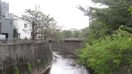 東京の橋 中板橋