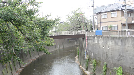 東京の橋 中板橋