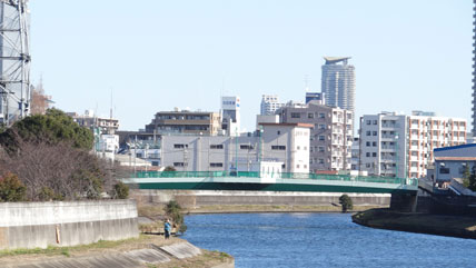 蓮根 橋 バス セール